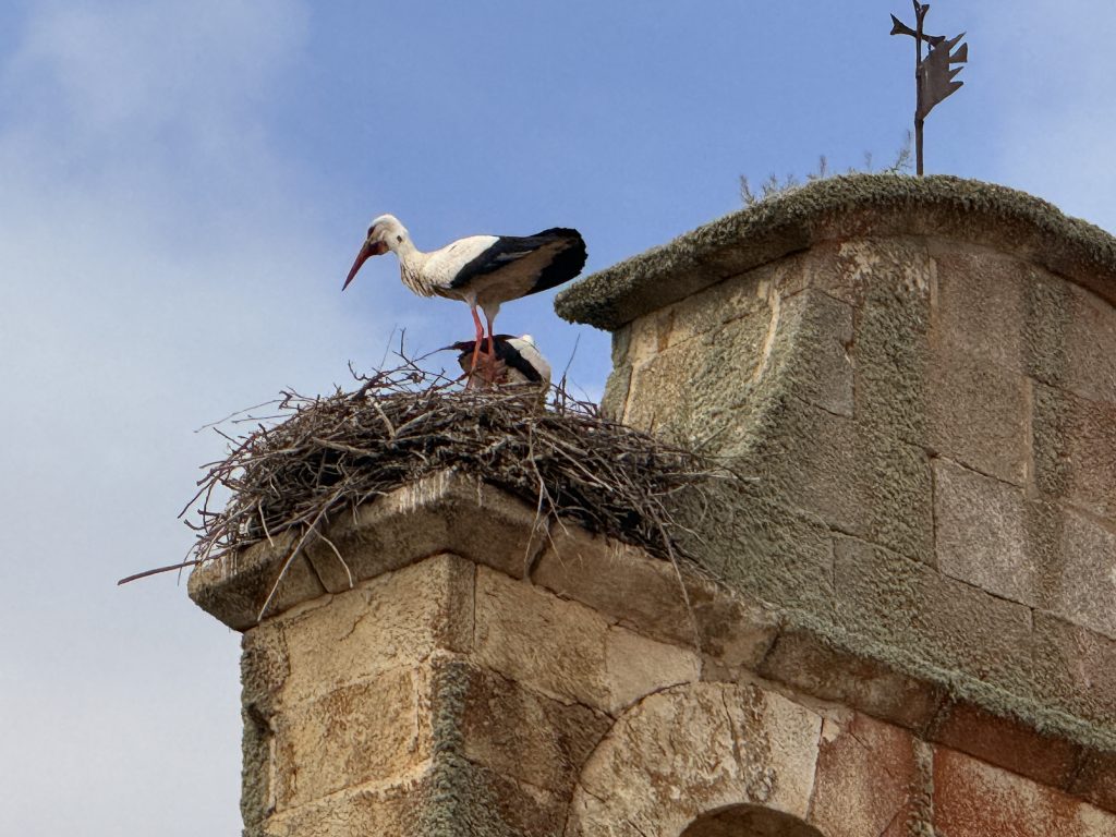 Iglesia de Santa Eufemia de Pereruela: historia, piedra y tradición en el corazón de Sayago